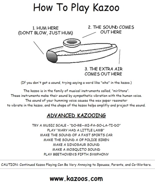 kazoo